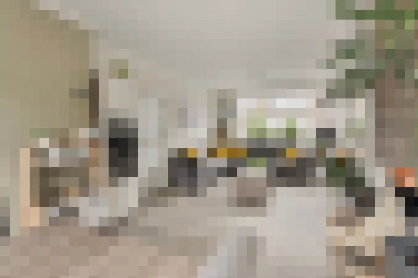 Lage Nes 7 Heerjansdam thumbnail 10