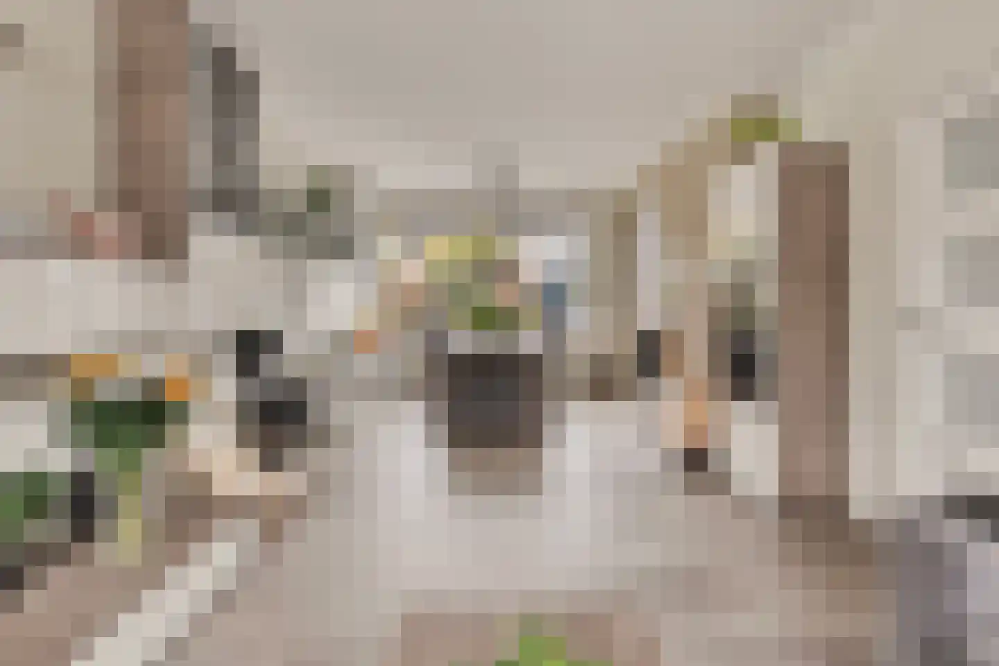 Lage Nes 7 Heerjansdam thumbnail 12