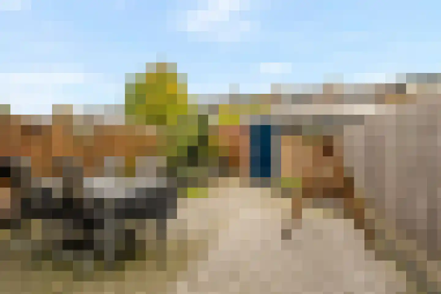 Lage Nes 7 Heerjansdam thumbnail 15