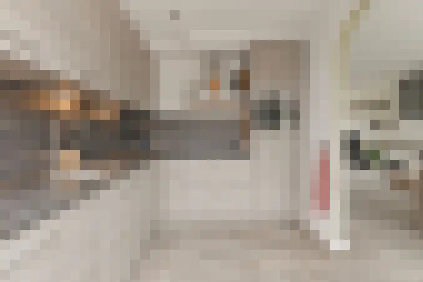 Lage Nes 7 Heerjansdam thumbnail 18