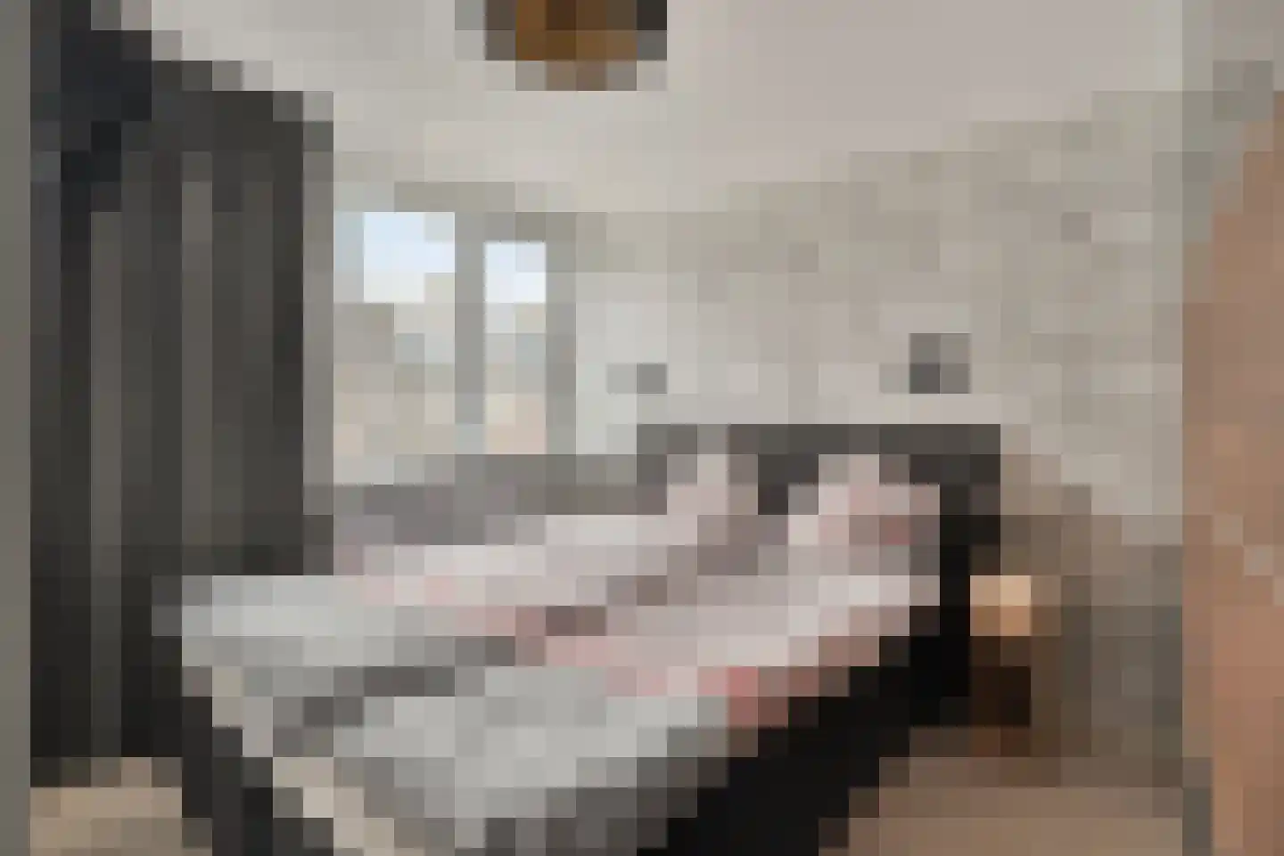 Lage Nes 7 Heerjansdam thumbnail 21
