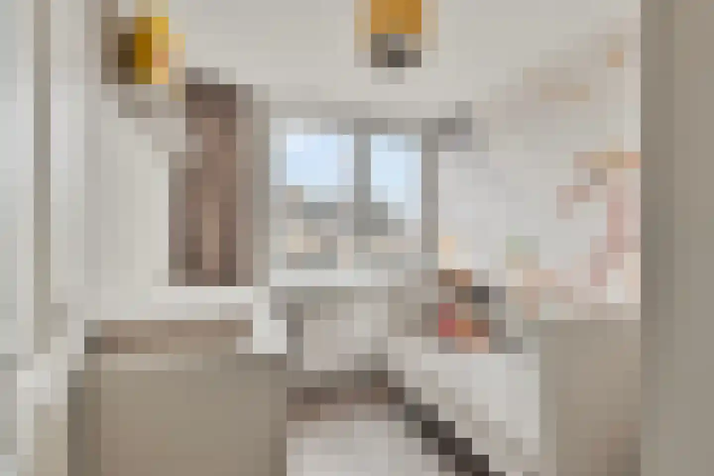 Lage Nes 7 Heerjansdam thumbnail 23
