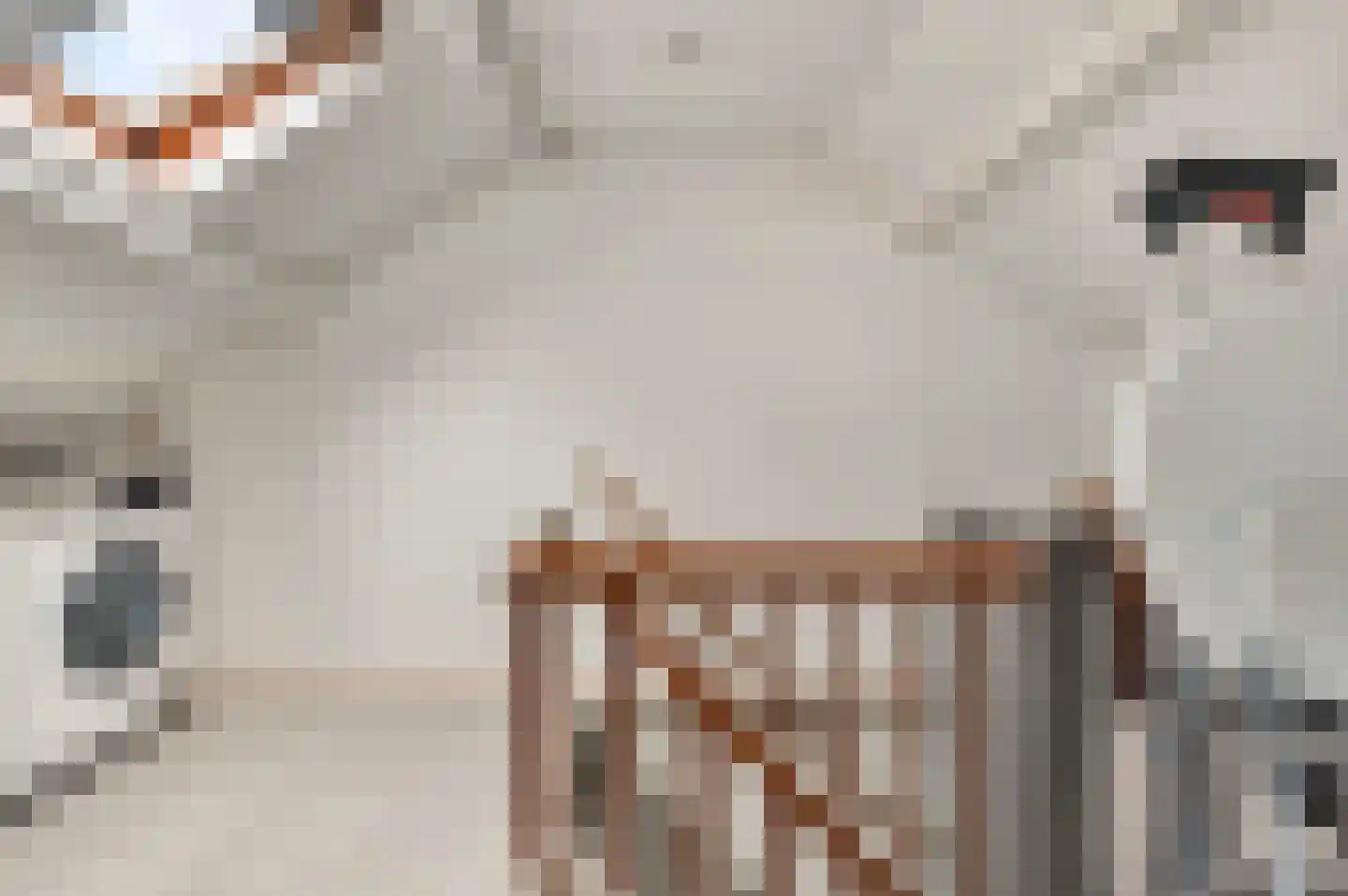 Lage Nes 7 Heerjansdam thumbnail 29