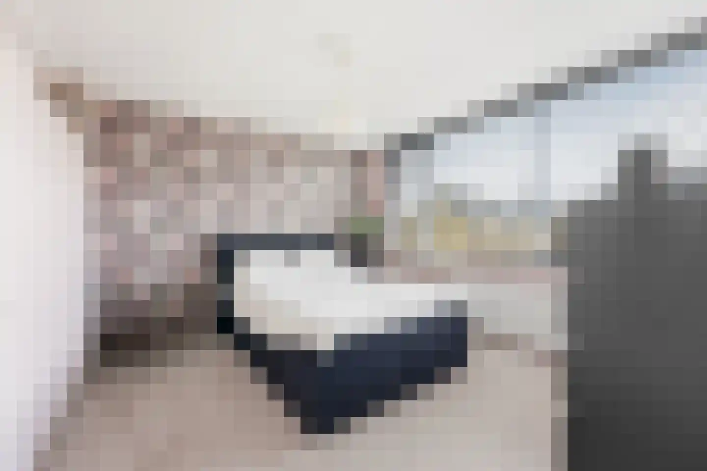Lage Nes 8 Heerjansdam thumbnail 15