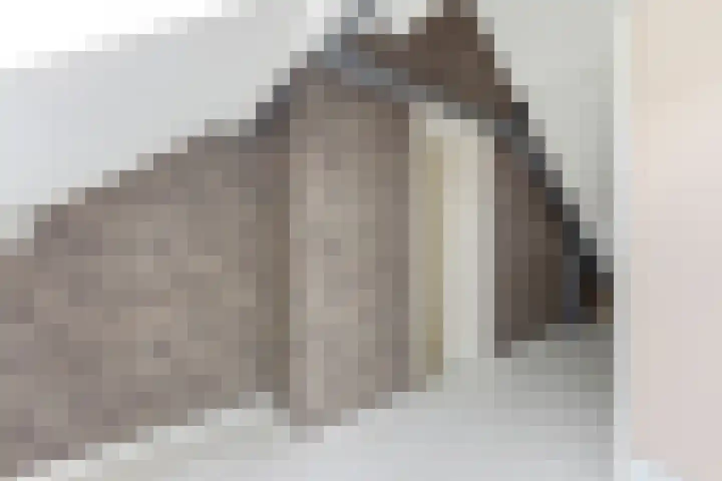 Lage Nes 8 Heerjansdam thumbnail 22