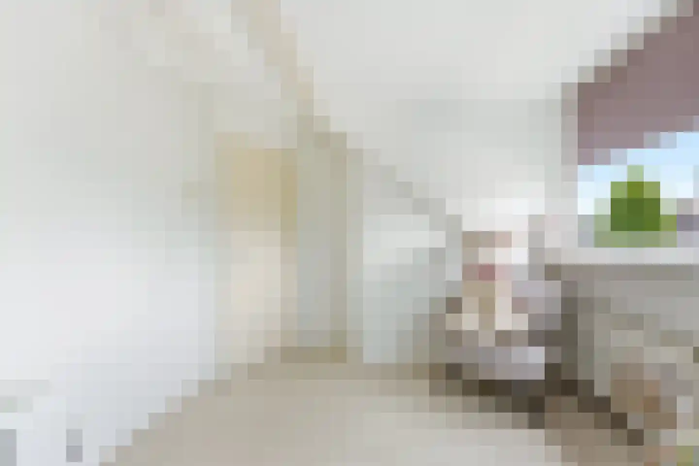 Lage Nes 8 Heerjansdam thumbnail 24