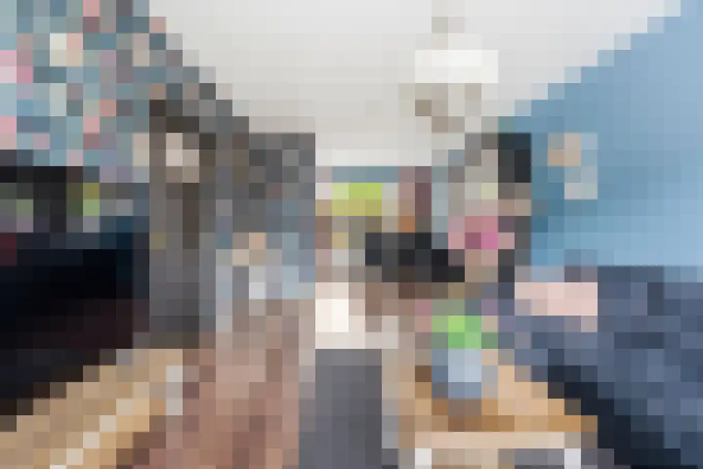 Lage Nes 8 Heerjansdam thumbnail 4