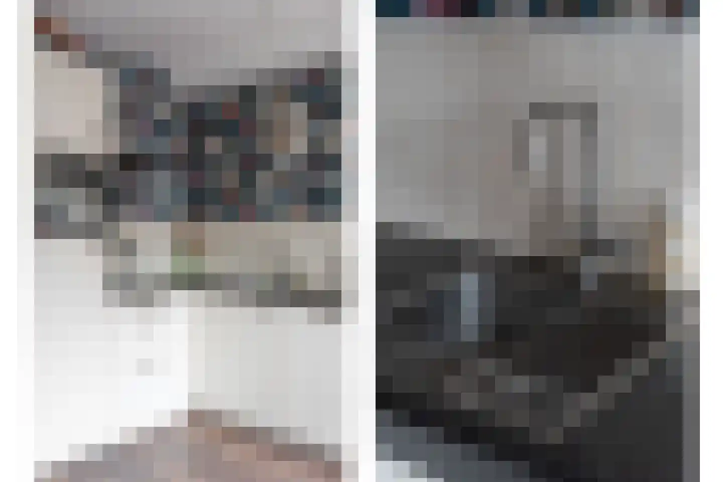 Lage Nes 8 Heerjansdam thumbnail 9