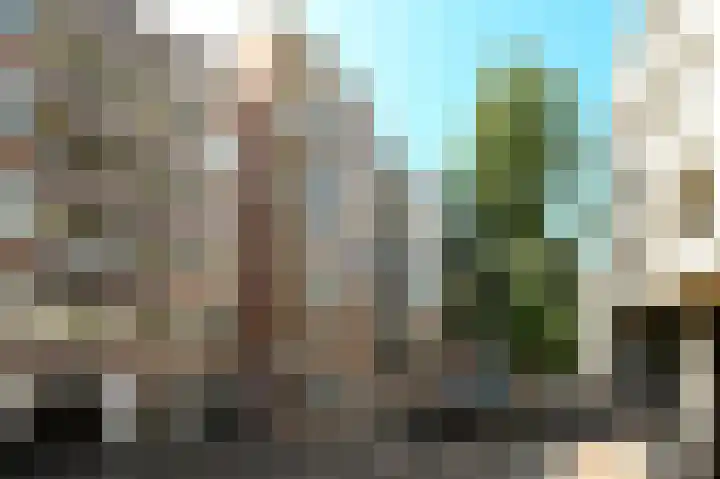 Lage Nieuwstraat 326 Den Haag thumbnail 4