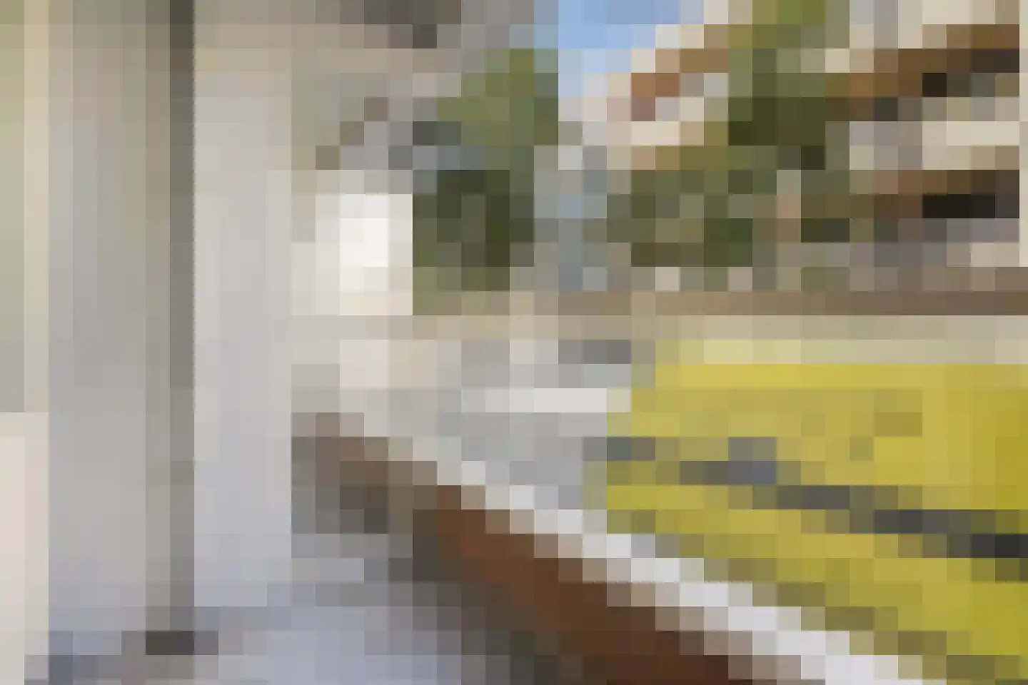 Lage Nieuwstraat 352 Den Haag thumbnail 16