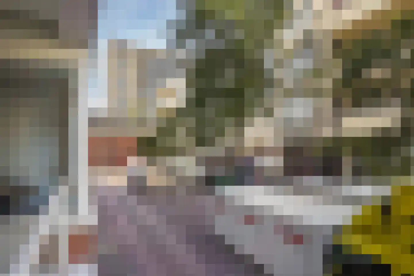 Lage Nieuwstraat 352 Den Haag thumbnail 18