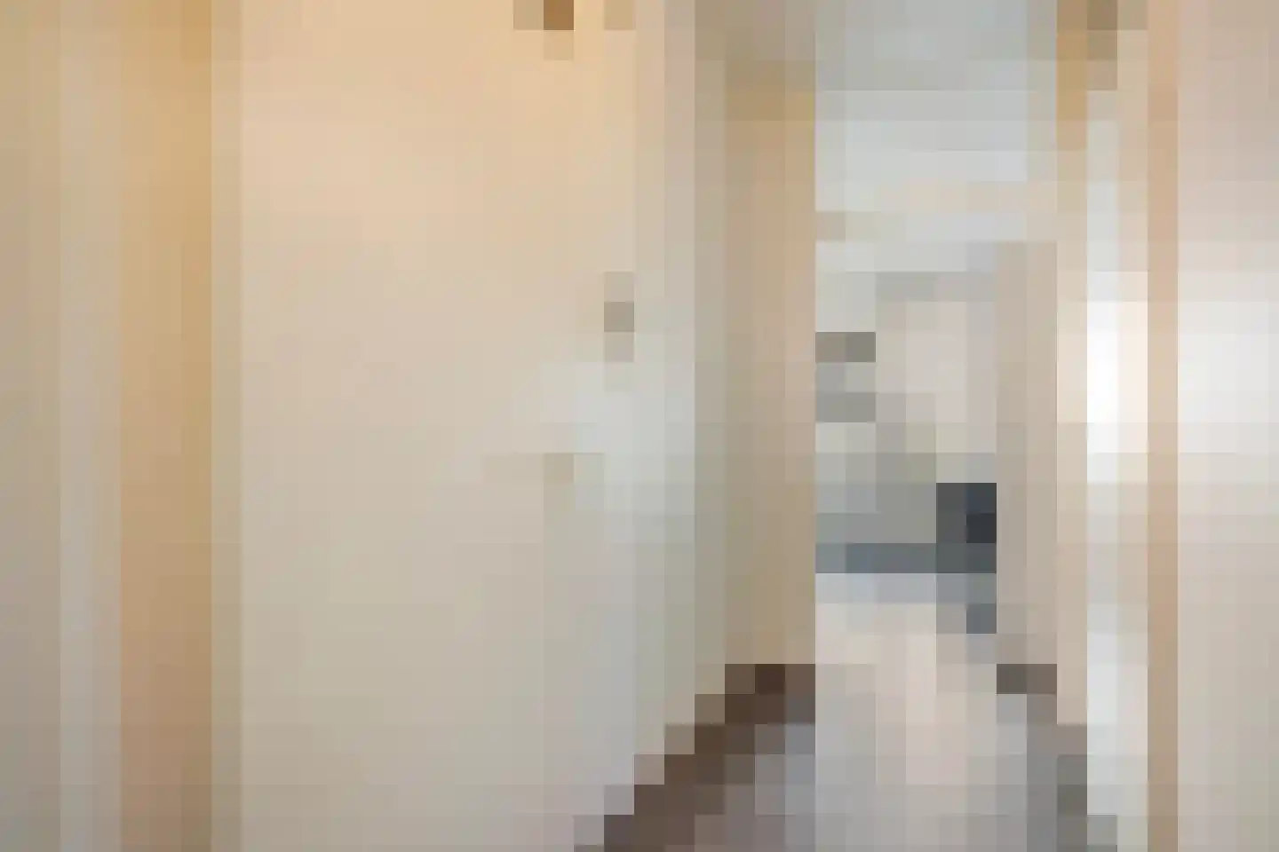 Lage Nieuwstraat 352 Den Haag thumbnail 4