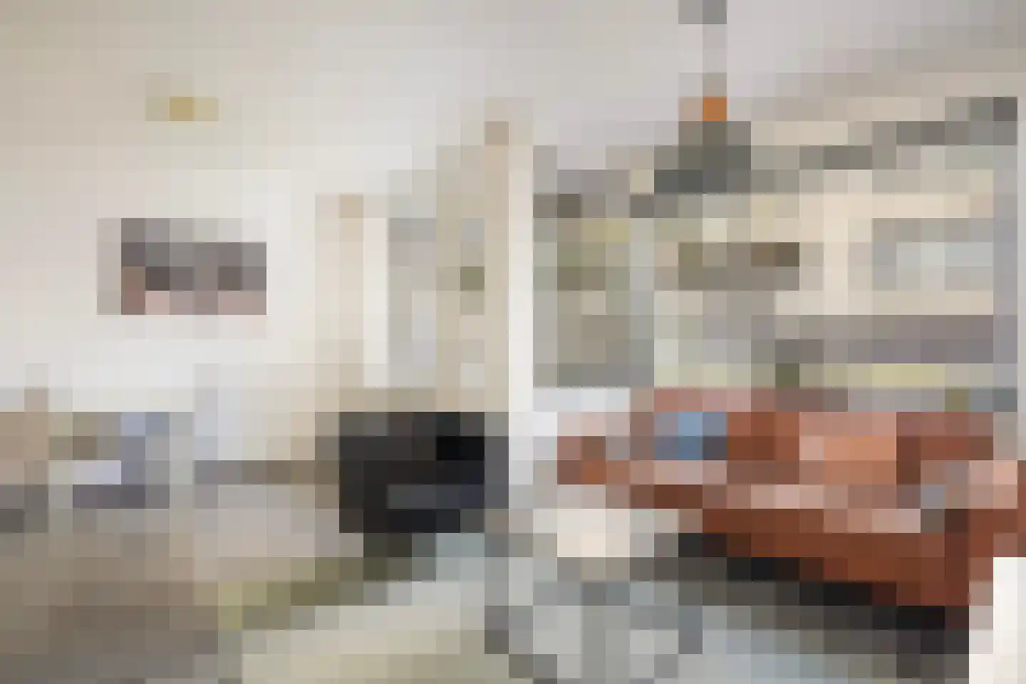 Lage Nieuwstraat 352 Den Haag thumbnail 7
