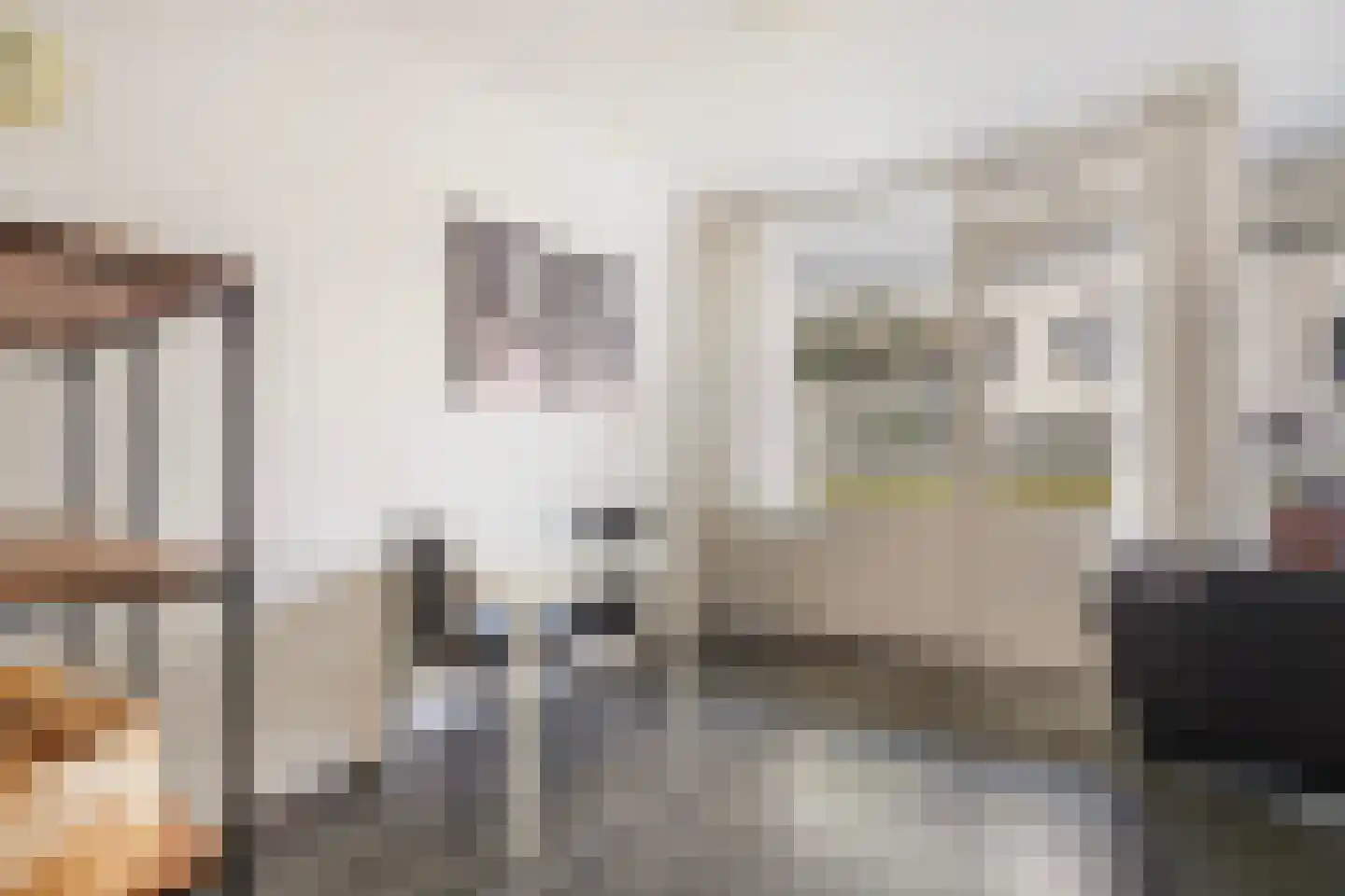 Lage Nieuwstraat 352 Den Haag thumbnail 8