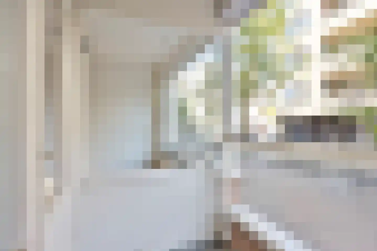 Lage Nieuwstraat 354 Den Haag thumbnail 12