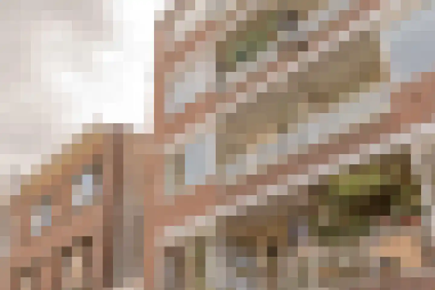 Lage Nieuwstraat 390 Den Haag thumbnail 22