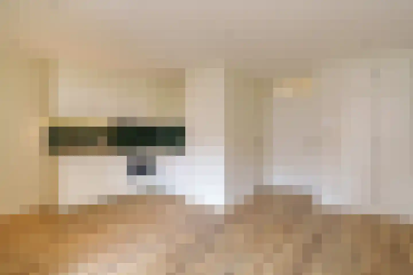 Lage Nieuwstraat 390 Den Haag thumbnail 4