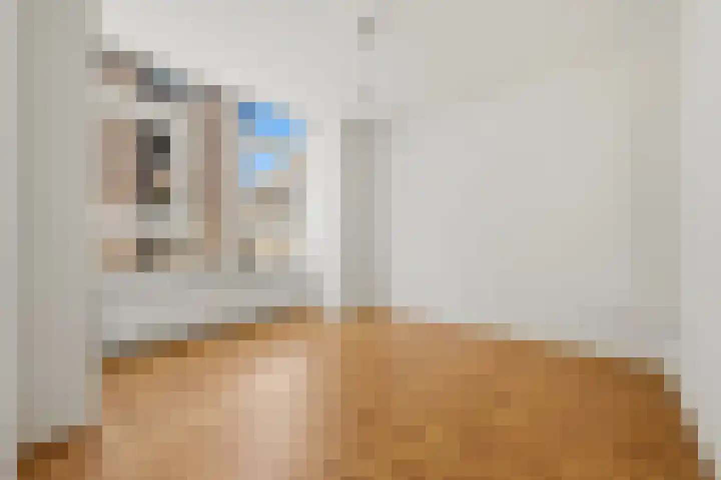Lage Nieuwstraat 6 A Den Haag thumbnail 18