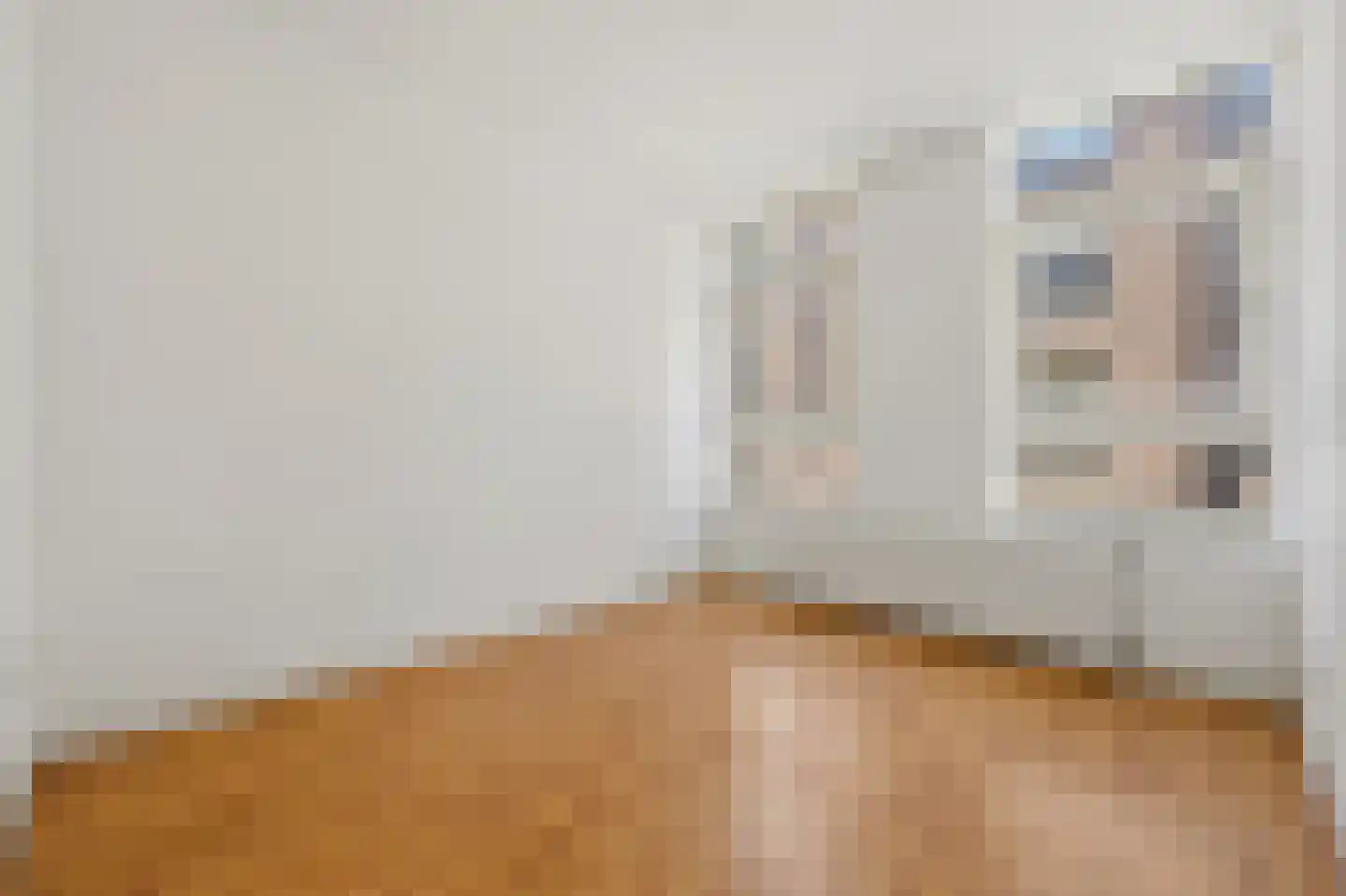 Lage Nieuwstraat 6 A Den Haag thumbnail 25