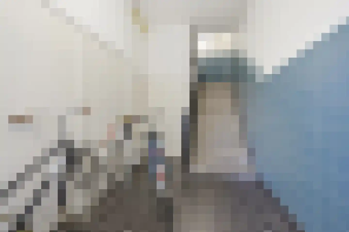 Lage Nieuwstraat 6 A Den Haag thumbnail 8