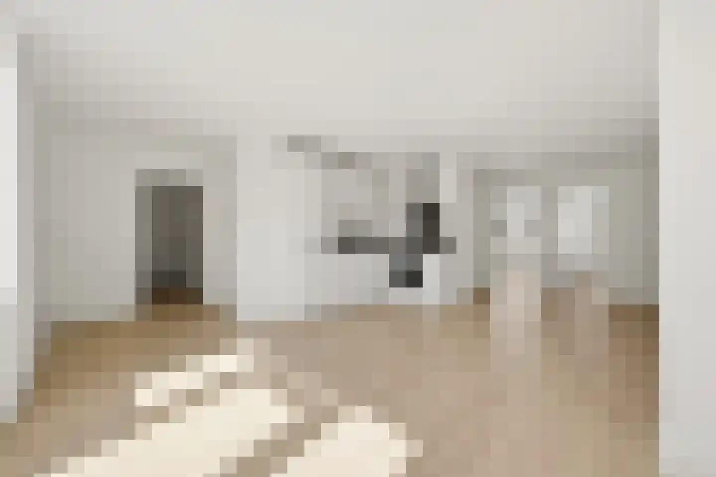 Lage Nieuwstraat 8 Den Haag thumbnail 5