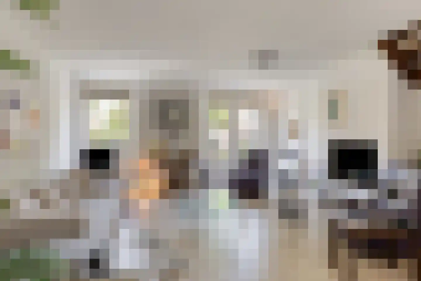 Lage Riem 30 Heteren thumbnail 12