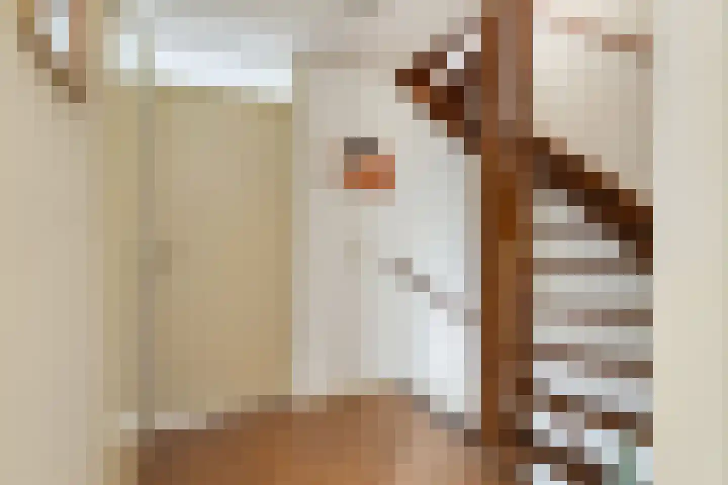 Lage Riem 30 Heteren thumbnail 17