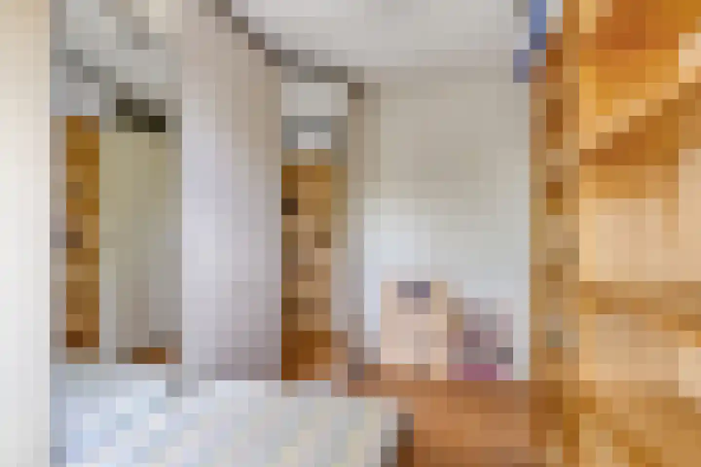 Lage Riem 30 Heteren thumbnail 25