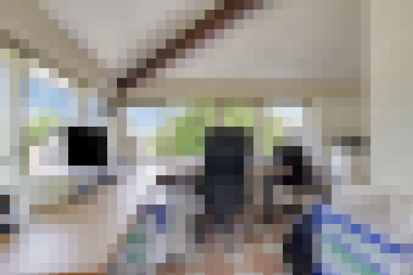 Lage Riem 30 Heteren thumbnail 29