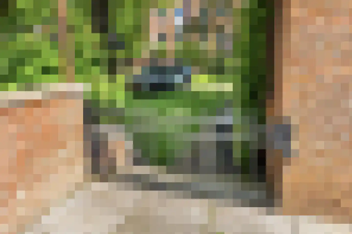 Lage Riem 30 Heteren thumbnail 33