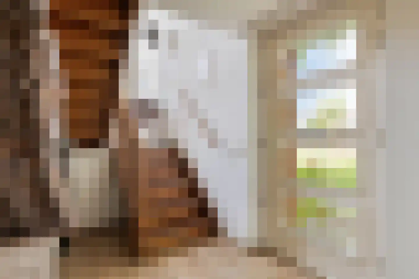 Lage Riem 30 Heteren thumbnail 5