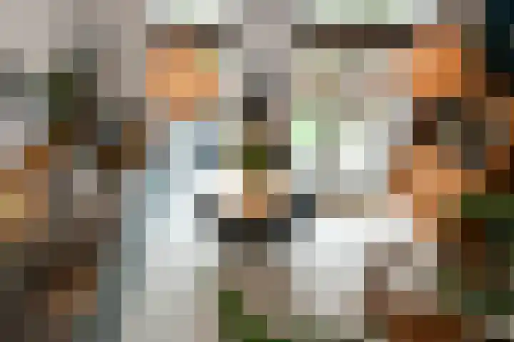 Lage Riem 8 Heteren thumbnail 13