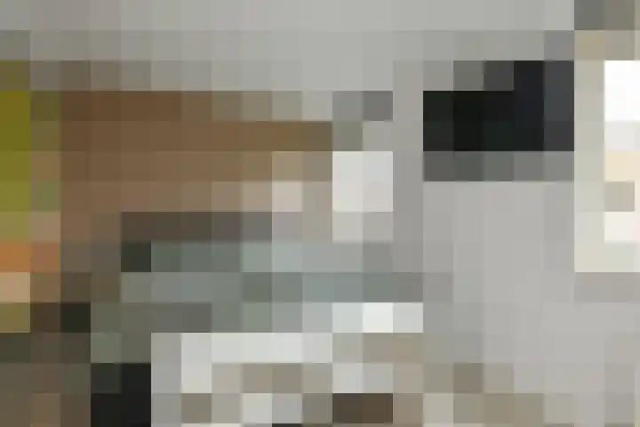 Lage Riem 8 Heteren thumbnail 21