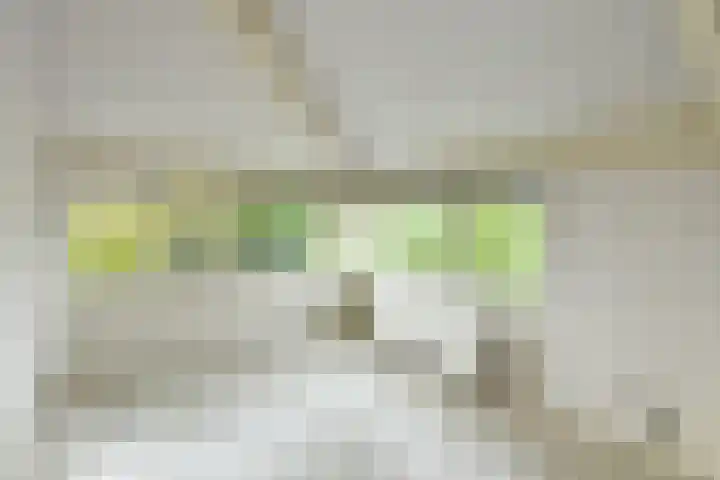 Lage Riem 8 Heteren thumbnail 32