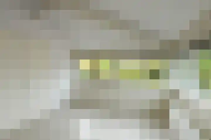 Lage Riem 8 Heteren thumbnail 33