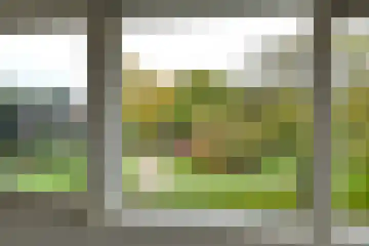 Lage Riem 8 Heteren thumbnail 34
