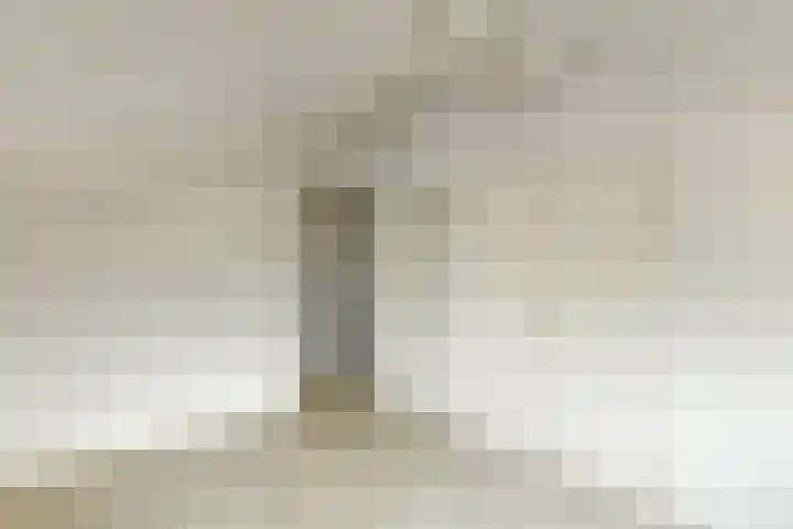 Lage Riem 8 Heteren thumbnail 36