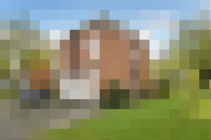 Lage Riem 8 Heteren thumbnail 4