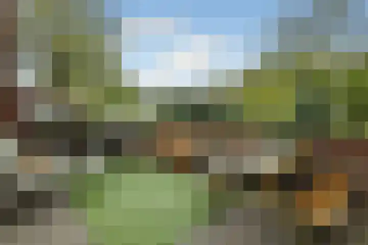 Lage Riem 8 Heteren thumbnail 40