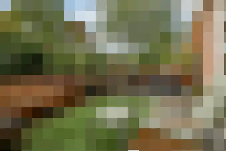 Lage Riem 8 Heteren thumbnail 41