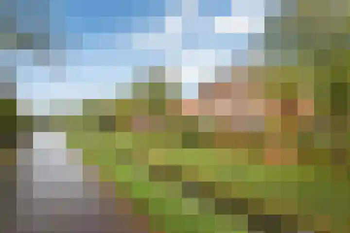 Lage Riem 8 Heteren thumbnail 46