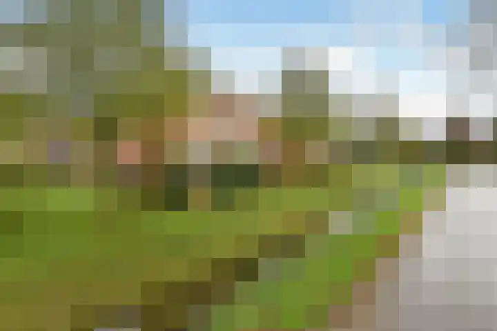 Lage Riem 8 Heteren thumbnail 47