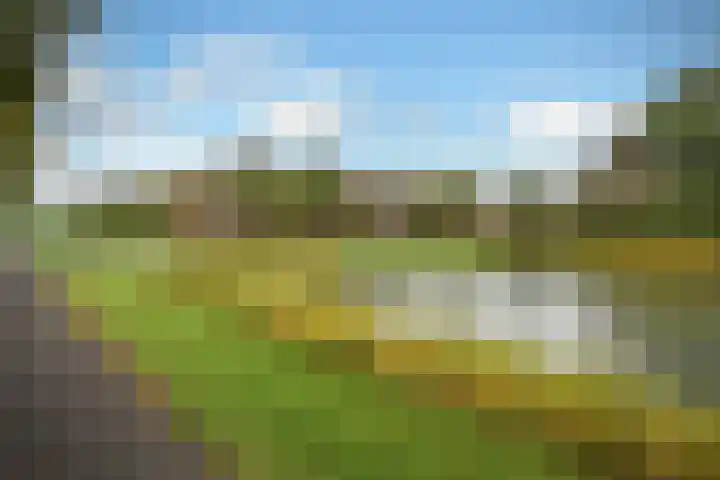 Lage Riem 8 Heteren thumbnail 48