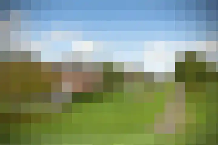 Lage Riem 8 Heteren thumbnail 50