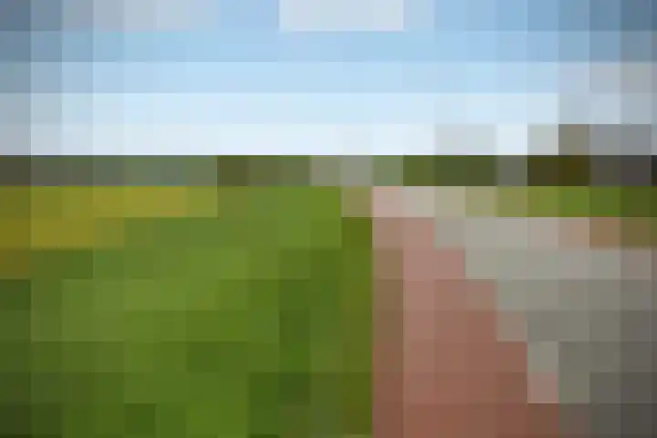 Lage Riem 8 Heteren thumbnail 51