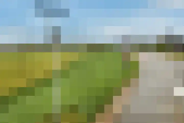 Lage Riem 8 Heteren thumbnail 52