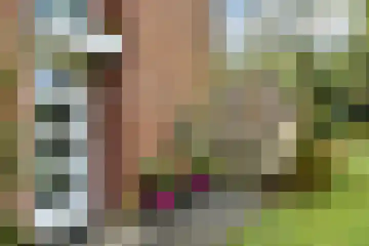 Lage Riem 8 Heteren thumbnail 7