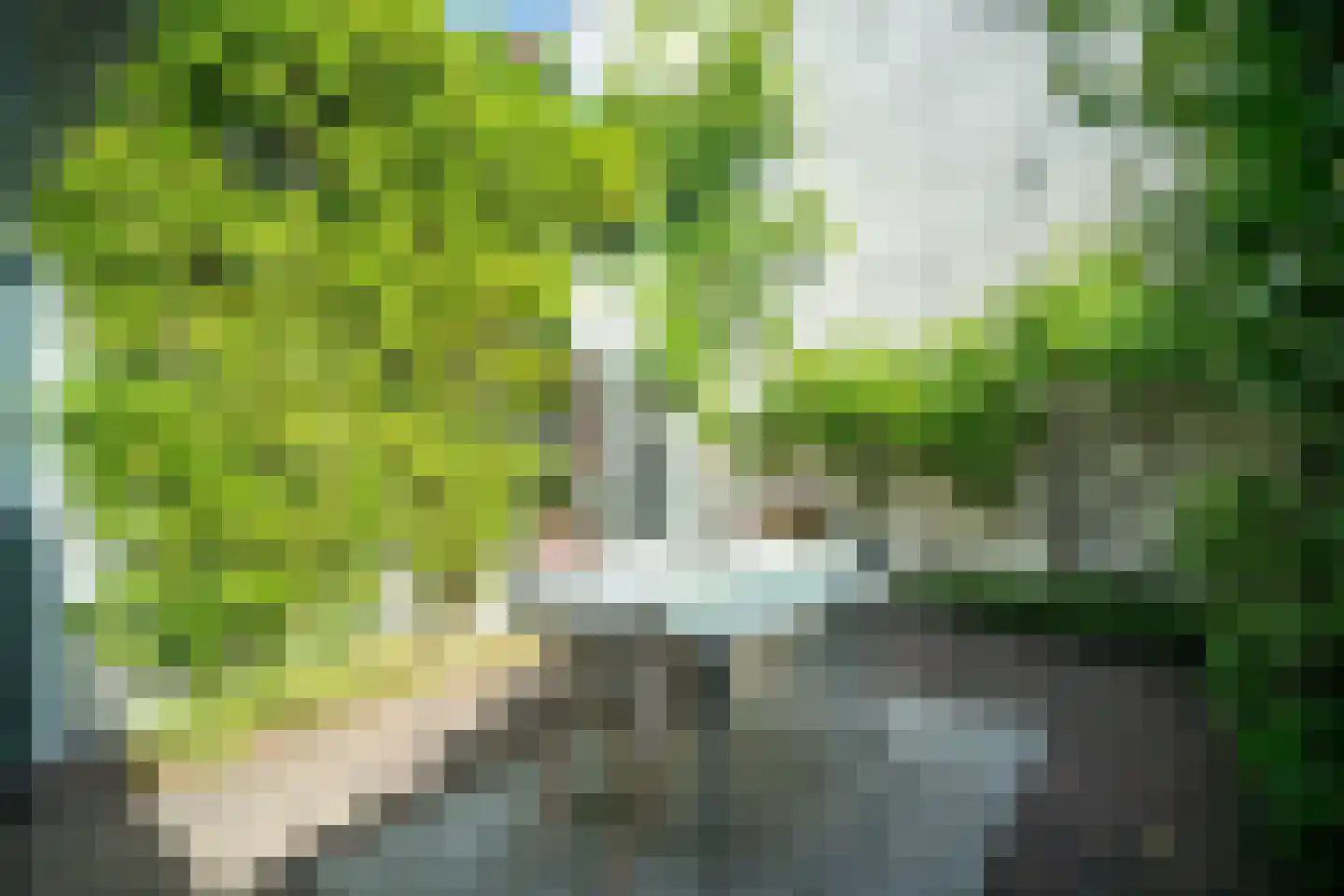 Lage Rijndijk 113 Leiden thumbnail 28