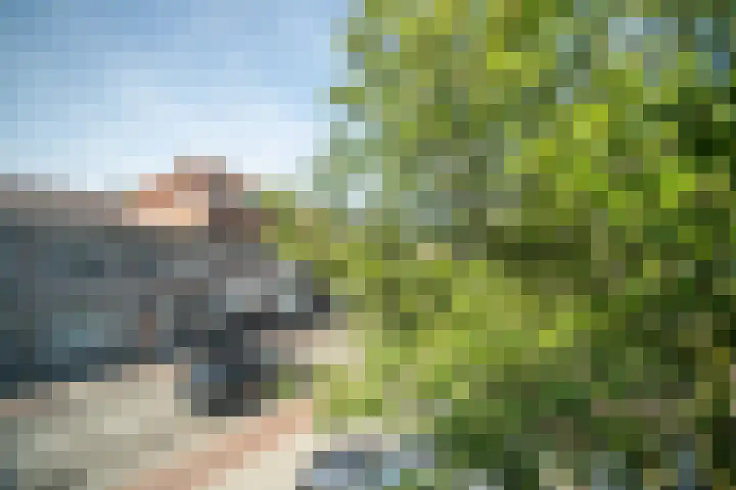 Lage Rijndijk 113 Leiden thumbnail 45