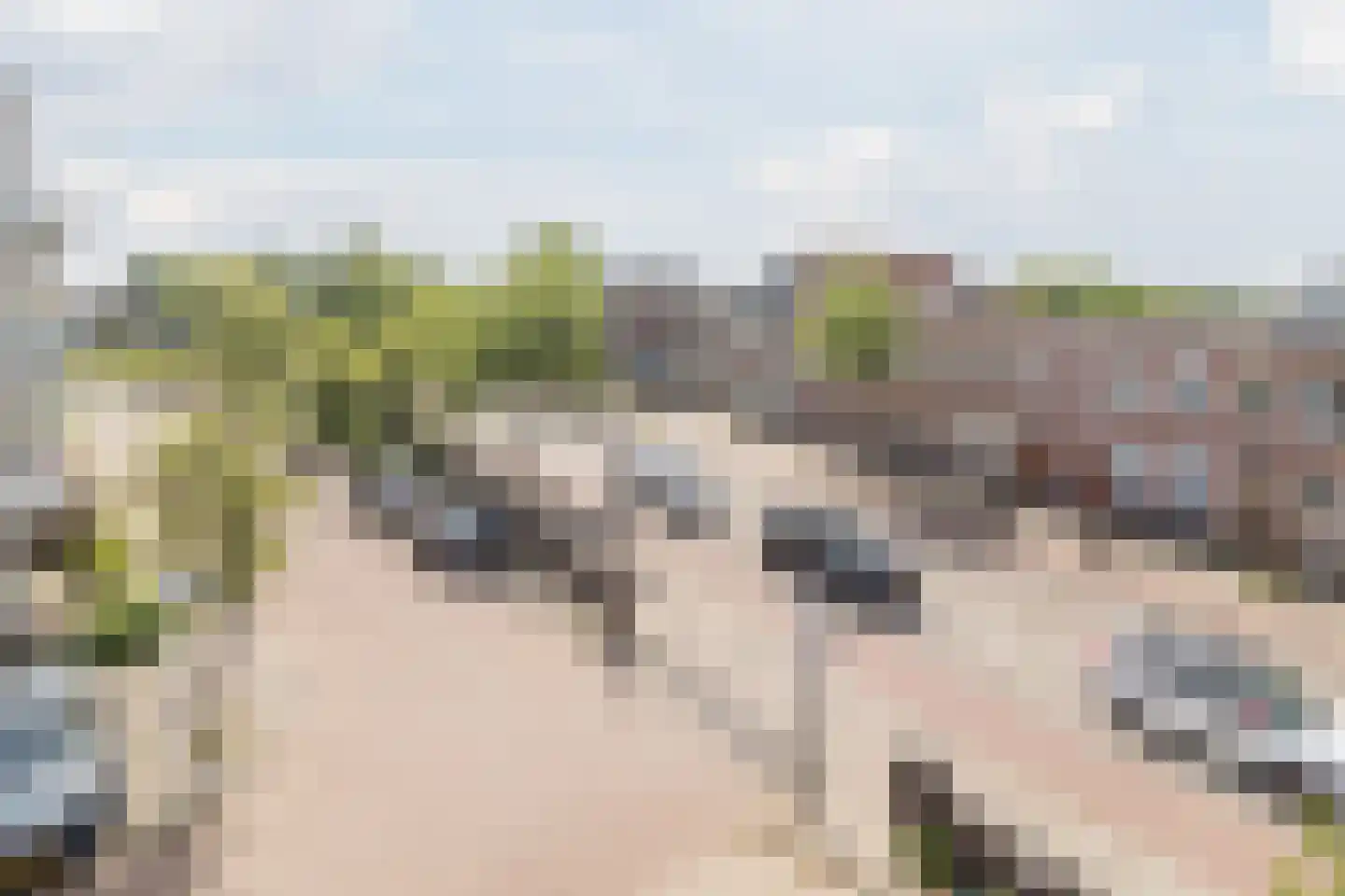 Lage Rijndijk 125 Leiden thumbnail 23